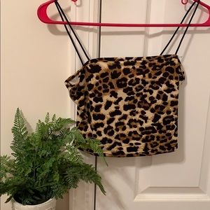 Cheetah tank